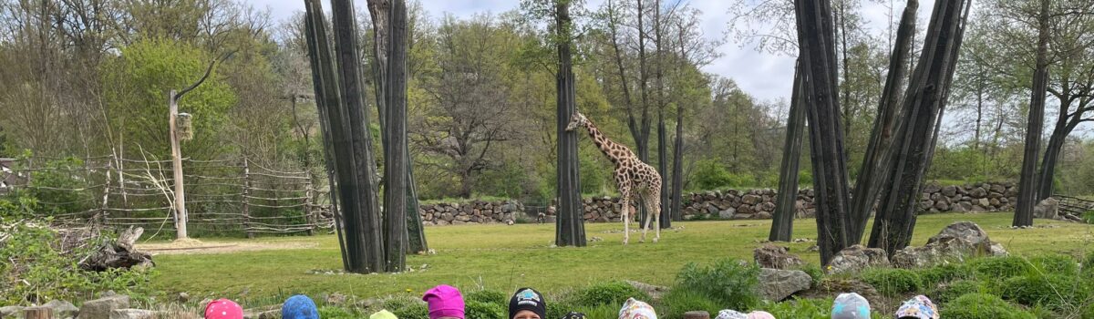 Třída U Zvědavého sluníčka v Zoo